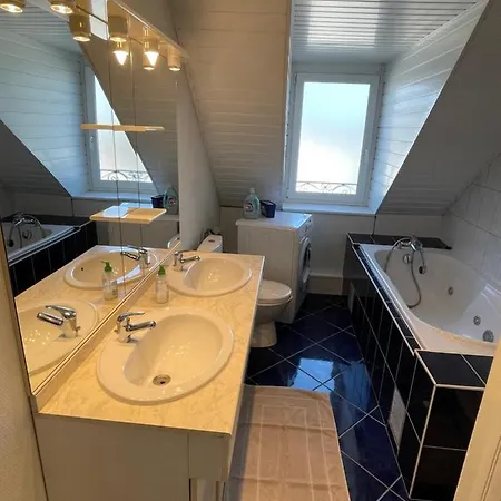 Jadore - Appartements meublés Mulhouse Ville Buitenkant foto