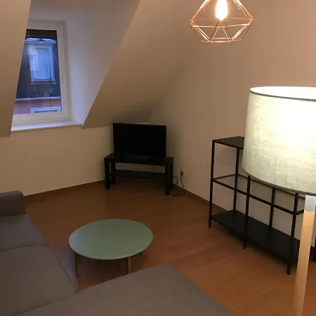 Jadore - Appartements meublés Mulhouse Ville Buitenkant foto
