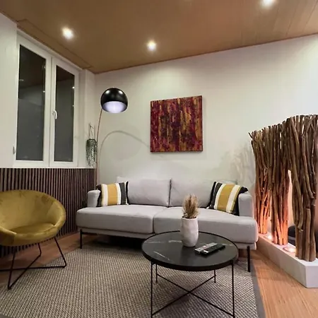 Jadore - Appartements meublés Mulhouse Ville Buitenkant foto