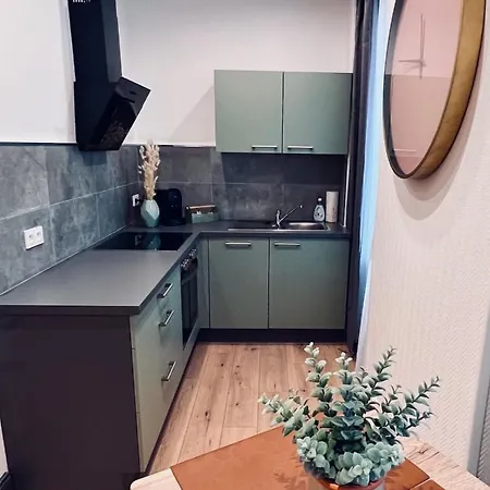 Jadore - Appartements meublés Mulhouse Ville Buitenkant foto