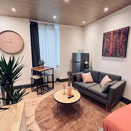 Jadore - Appartements meublés Mulhouse Ville Buitenkant foto