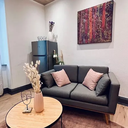 Jadore - Appartements meublés Mulhouse Ville Buitenkant foto