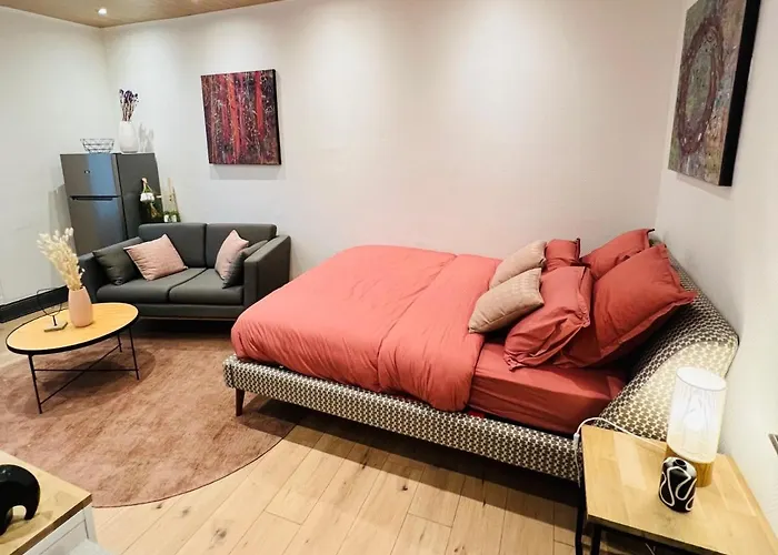 Jadore - Appartements Meubles Mulhouse Ville